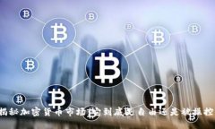 揭秘加密货币市场：它到