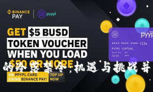 加密货币的冷落禁令：机遇与挑战并存的现实