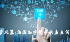 面对监管风暴：法国加密